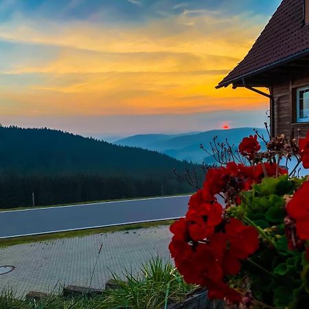 Pension Forsthaus Taele - Das Gaestehaus Vom Schwarzwaldgasthaus Salenhof Titisee-Neustadt Ngoại thất bức ảnh
