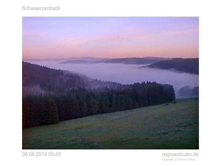 Pension Forsthaus Taele - Das Gaestehaus Vom Schwarzwaldgasthaus Salenhof Titisee-Neustadt Ngoại thất bức ảnh