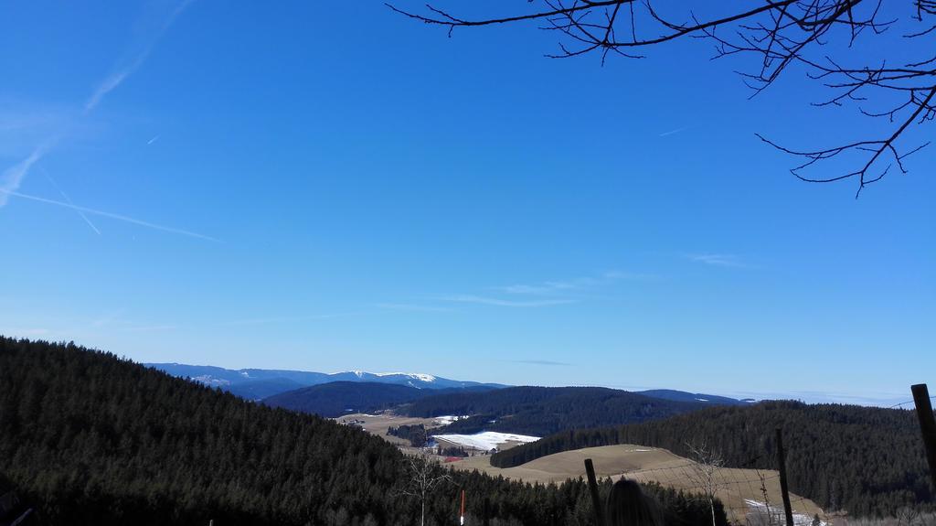 Pension Forsthaus Taele - Das Gaestehaus Vom Schwarzwaldgasthaus Salenhof Titisee-Neustadt Ngoại thất bức ảnh