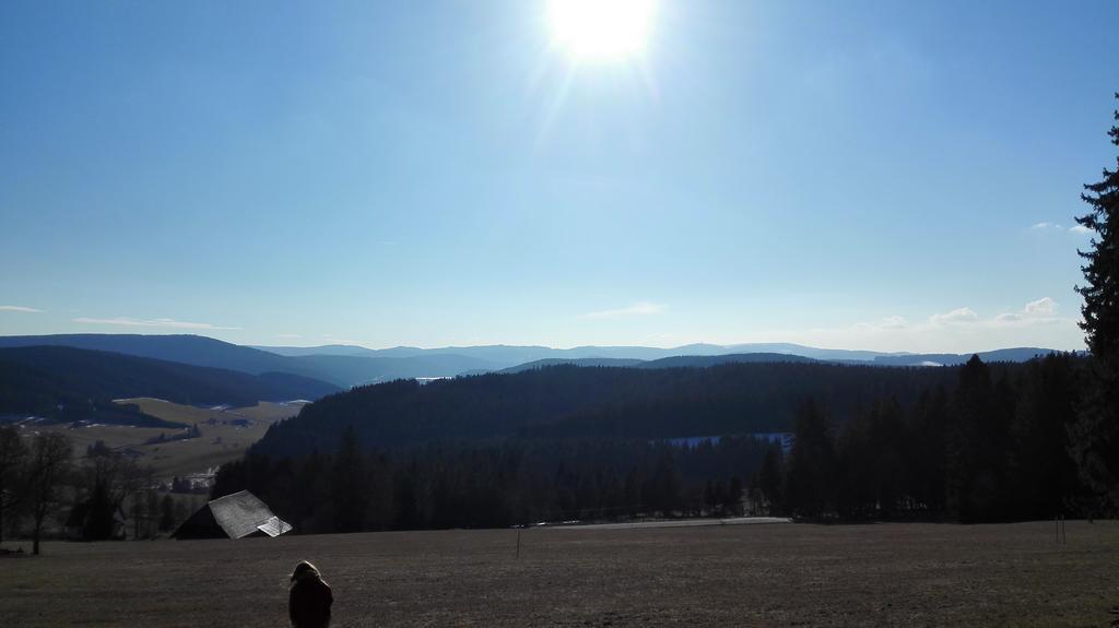 Pension Forsthaus Taele - Das Gaestehaus Vom Schwarzwaldgasthaus Salenhof Titisee-Neustadt Ngoại thất bức ảnh