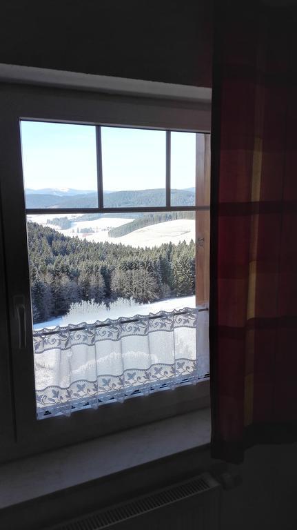 Pension Forsthaus Taele - Das Gaestehaus Vom Schwarzwaldgasthaus Salenhof Titisee-Neustadt Ngoại thất bức ảnh