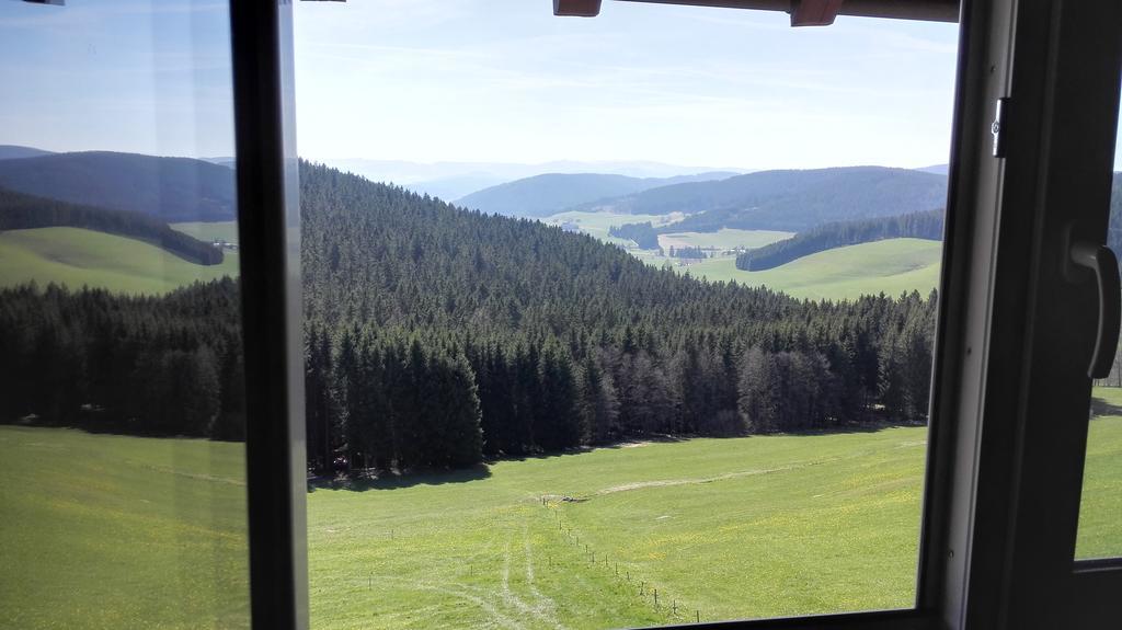 Pension Forsthaus Taele - Das Gaestehaus Vom Schwarzwaldgasthaus Salenhof Titisee-Neustadt Ngoại thất bức ảnh