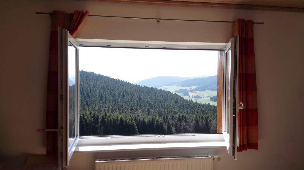 Pension Forsthaus Taele - Das Gaestehaus Vom Schwarzwaldgasthaus Salenhof Titisee-Neustadt Ngoại thất bức ảnh