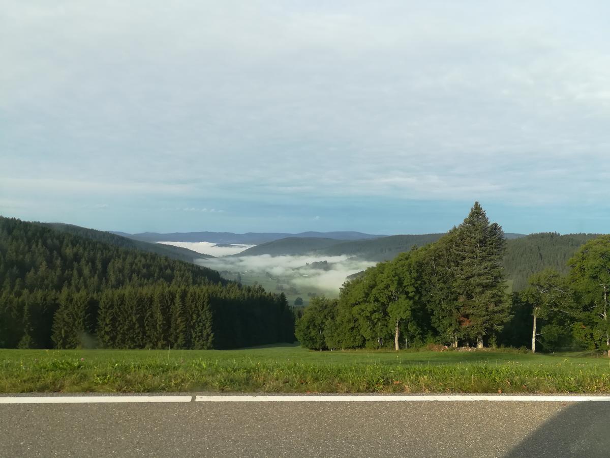Pension Forsthaus Taele - Das Gaestehaus Vom Schwarzwaldgasthaus Salenhof Titisee-Neustadt Ngoại thất bức ảnh