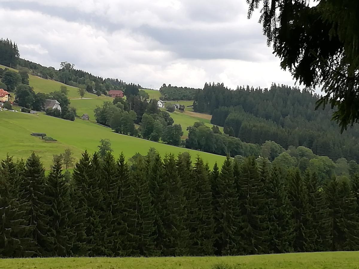 Pension Forsthaus Taele - Das Gaestehaus Vom Schwarzwaldgasthaus Salenhof Titisee-Neustadt Ngoại thất bức ảnh