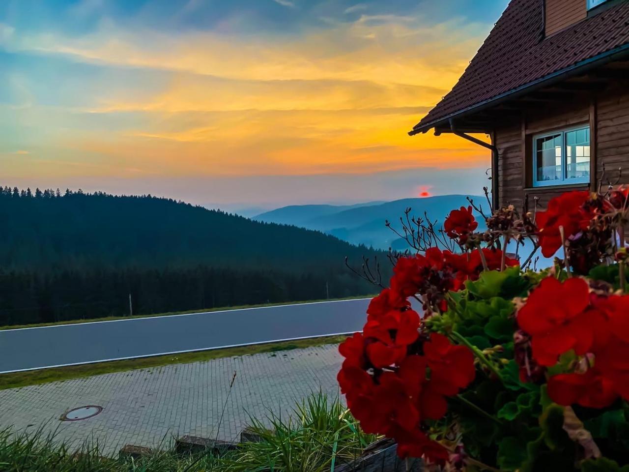 Pension Forsthaus Taele - Das Gaestehaus Vom Schwarzwaldgasthaus Salenhof Titisee-Neustadt Ngoại thất bức ảnh